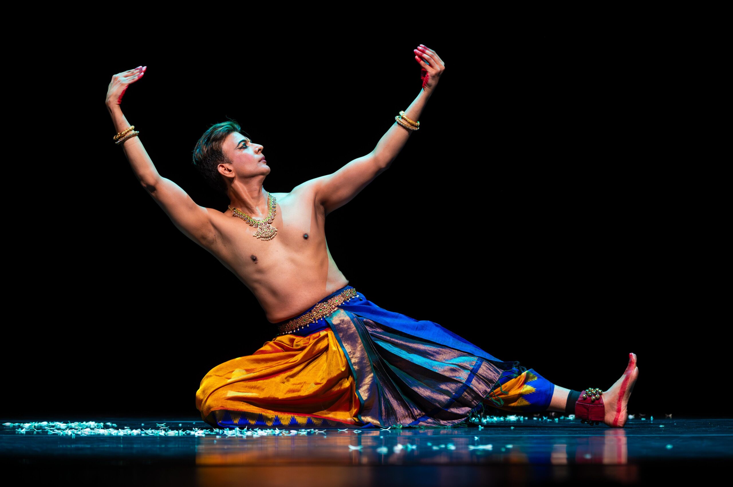 Adult Ticket - Sujit Vaidya